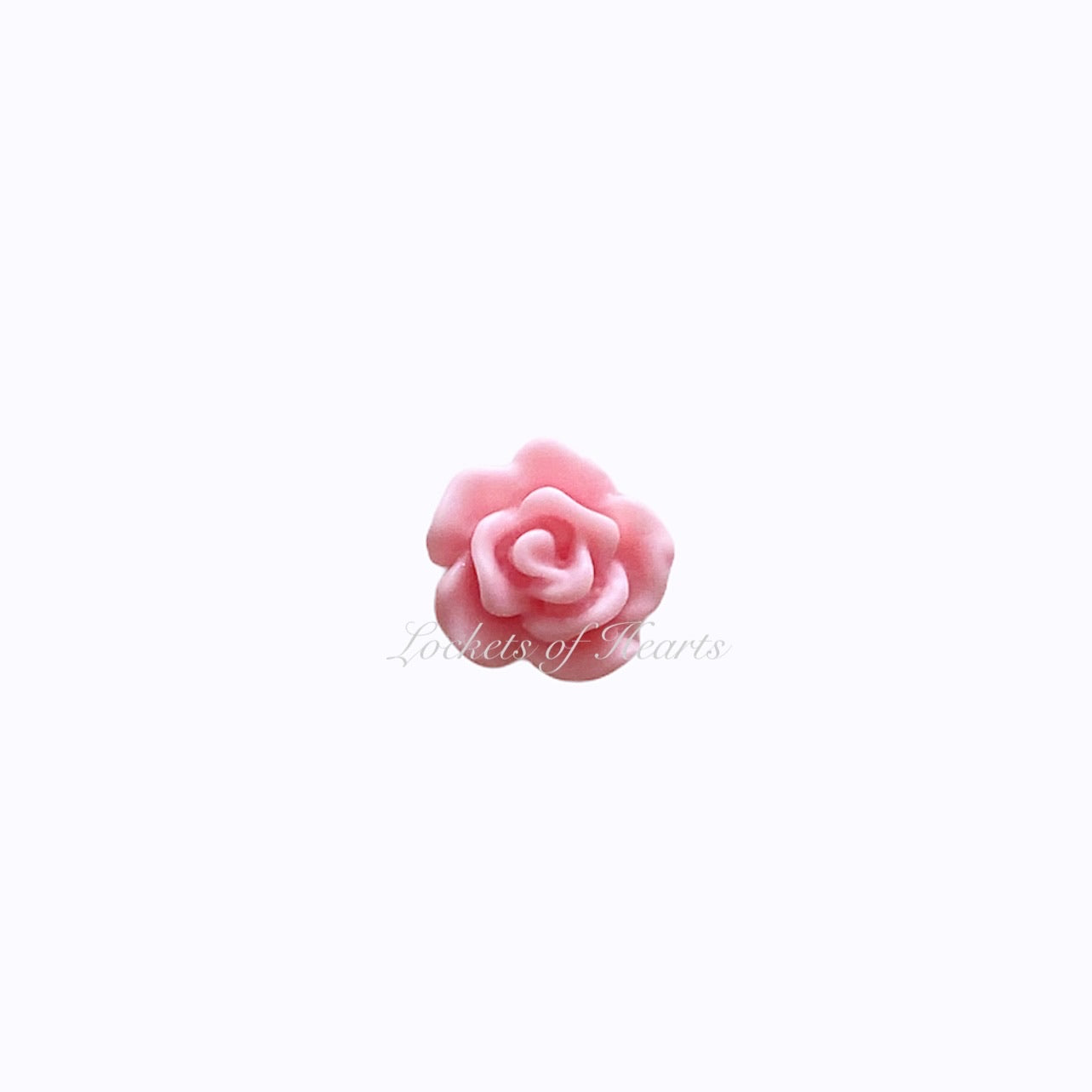 Pastel Pink Rose