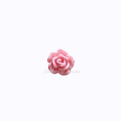 Pastel Pink Rose